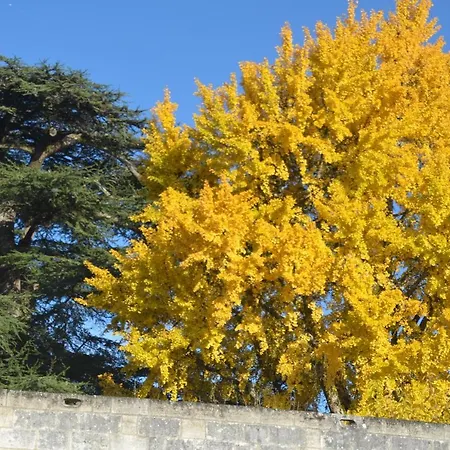 La Grange Du Chapelat *