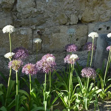 La Grange Du Chapelat *